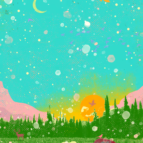 EVENING FIELD
