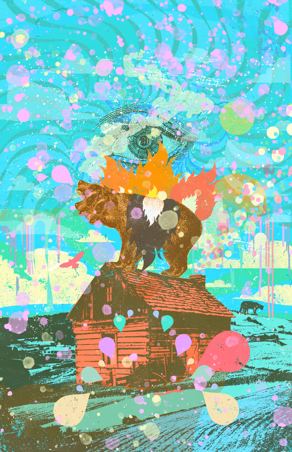PSYCHEDELIC CABIN