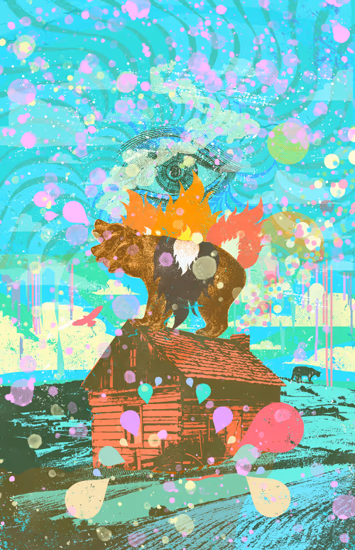 PSYCHEDELIC CABIN
