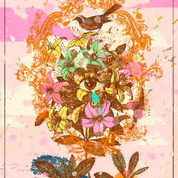 SURREAL FIELD