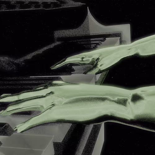 The Palms Collection 1