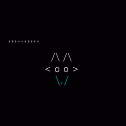 Foxes #1247