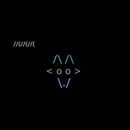 Foxes 7