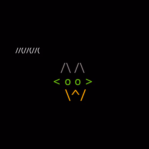 Foxes #562