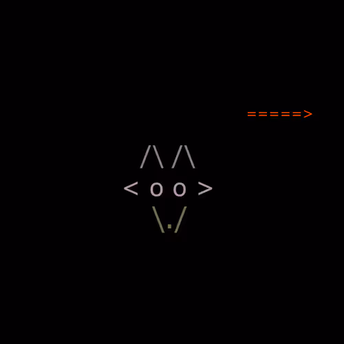 Foxes 7