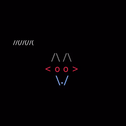 Foxes 7
