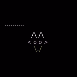 Foxes #636