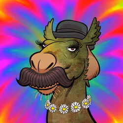 Arabian Camel #6213