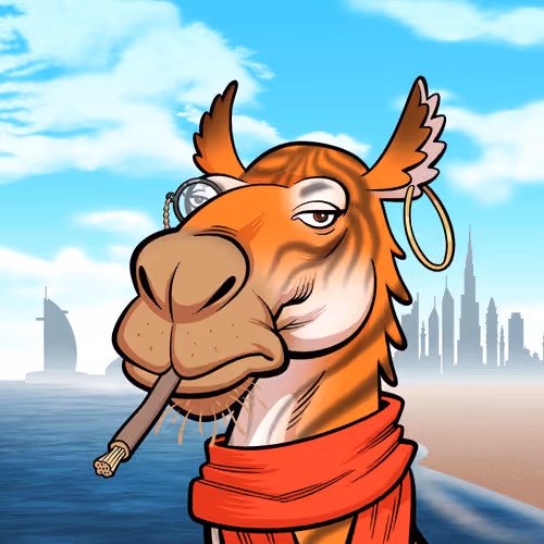 Arabian Camel #11388