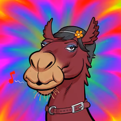 Arabian Camel #2875