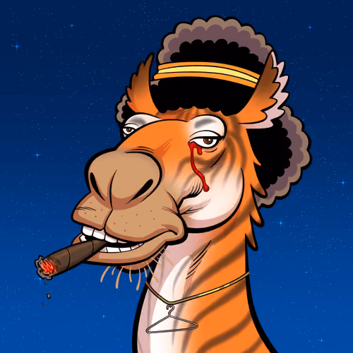 Arabian Camel #9365
