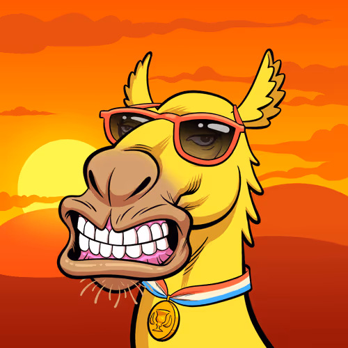Arabian Camel #7970