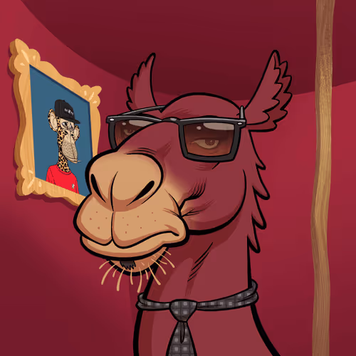 Arabian Camel #11850