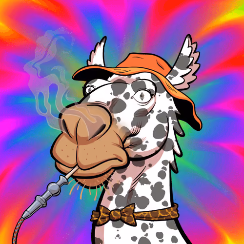 Arabian Camel #5479