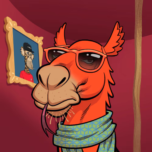 Arabian Camel #8684