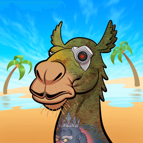 Arabian Camels