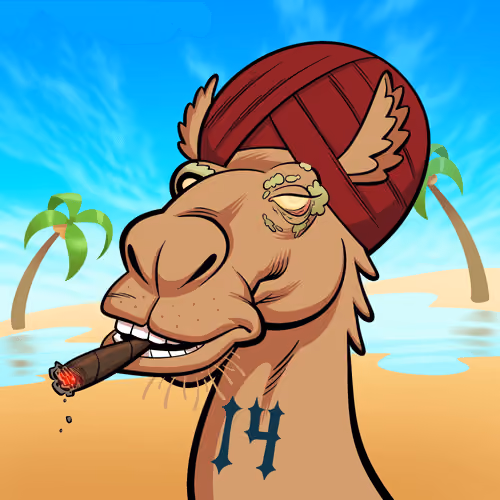 Arabian Camel #3489