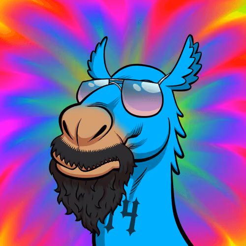 Arabian Camel #11986