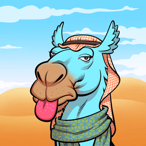 Arabian Camel #10776