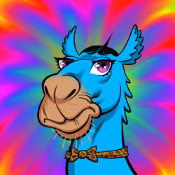 Arabian Camel #9551