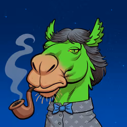 Arabian Camel #11305