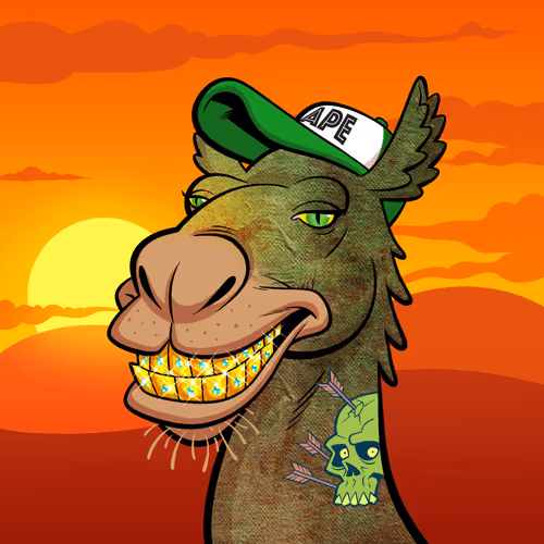 Arabian Camel #492