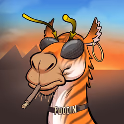 Arabian Camel #3199