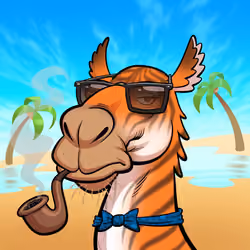 Arabian Camel #4341