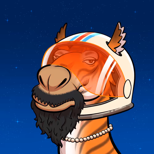 Arabian Camel #1827