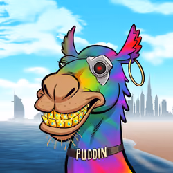 Arabian Camel #4448