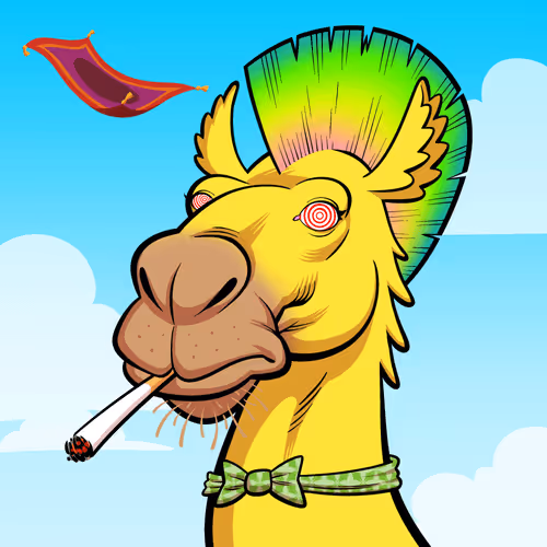 Arabian Camel #11984