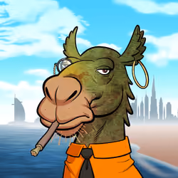 Arabian Camel #8050