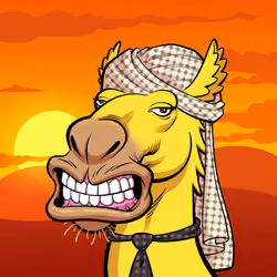 Arabian Camel #11611