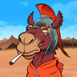 Arabian Camel #8188