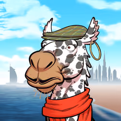 Arabian Camel #961
