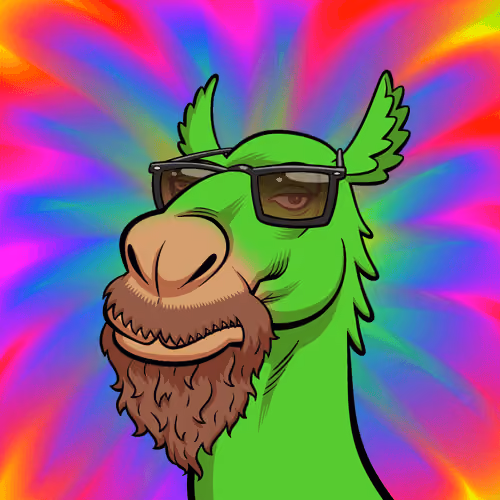 Arabian Camel #9163
