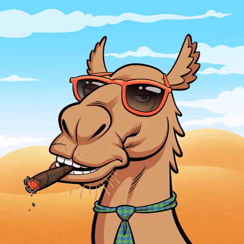 Arabian Camel #7100