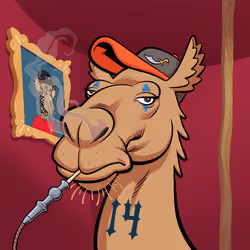 Arabian Camel #7526