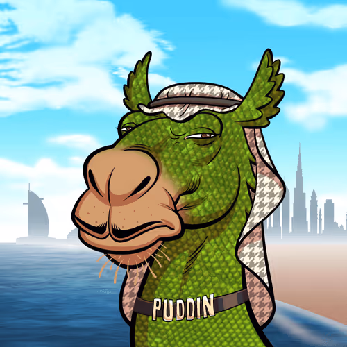 Arabian Camel #3819