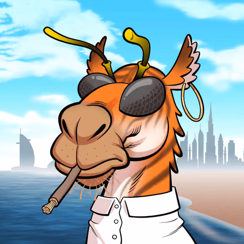 Arabian Camel #11394
