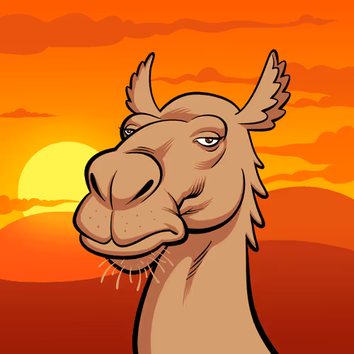 Dev Camel