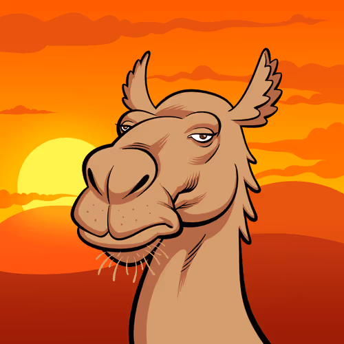 Dev Camel