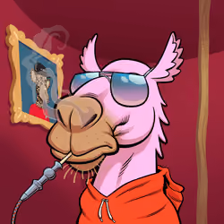 Arabian Camel #7699