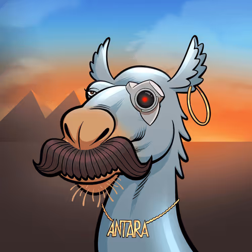 Arabian Camels