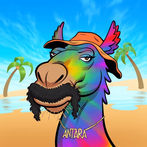 Arabian Camel #11991