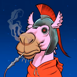 Arabian Camel #7043