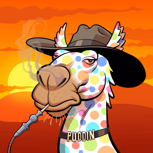 Arabian Camel #8289