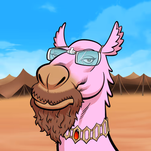Arabian Camel #8275