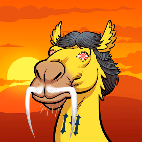 Arabian Camel #619