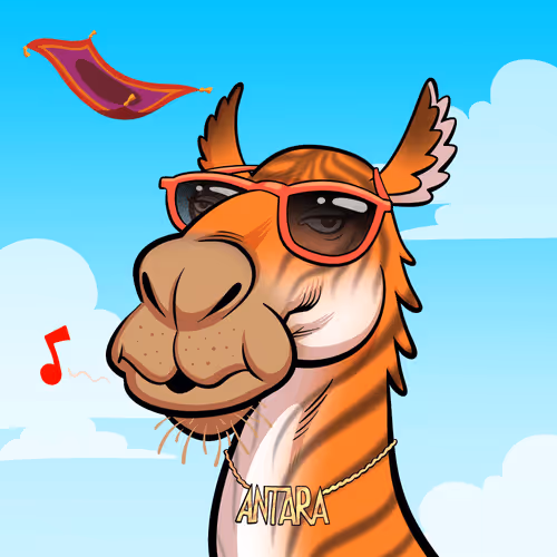 Arabian Camel #8048